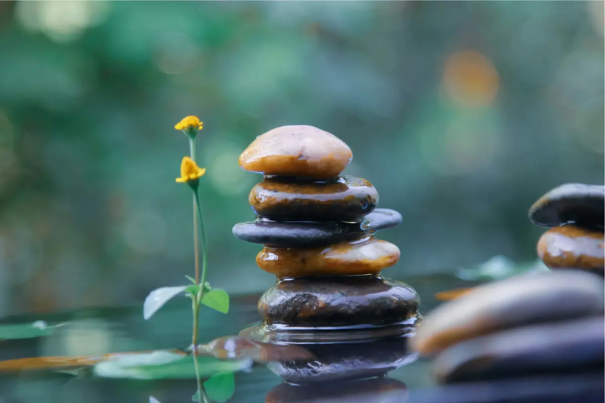 Stacked Zen stones balanced over still water with small yellow flowers, representing nervous system regulation and the natural process of unfolding during a higher energy awakening.